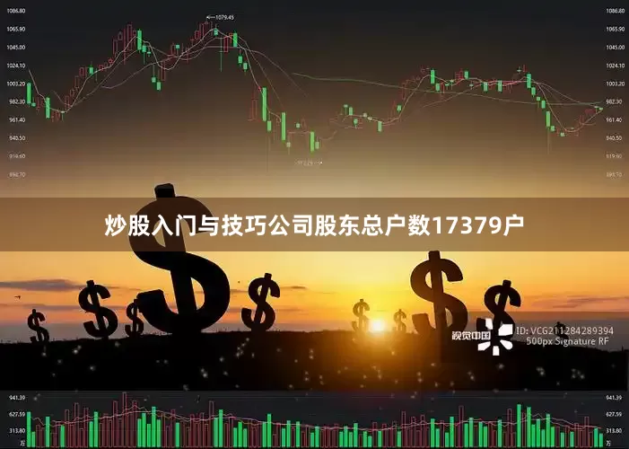 炒股入门与技巧公司股东总户数17379户
