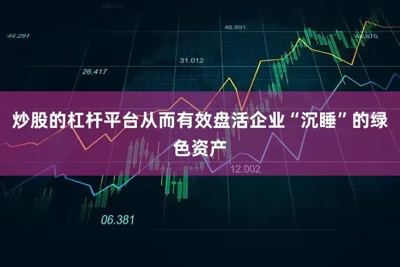 炒股的杠杆平台从而有效盘活企业“沉睡”的绿色资产