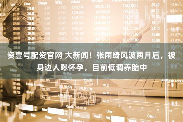 资壹号配资官网 大新闻！张雨绮风波两月后，被身边人曝怀孕，目前低调养胎中