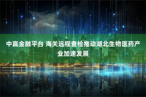 中赢金融平台 海关远程查检推动湖北生物医药产业加速发展