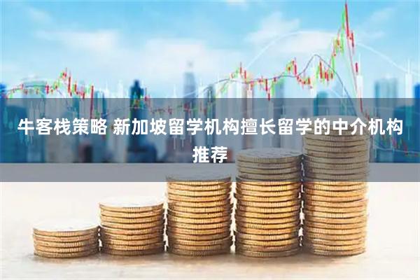 牛客栈策略 新加坡留学机构擅长留学的中介机构推荐